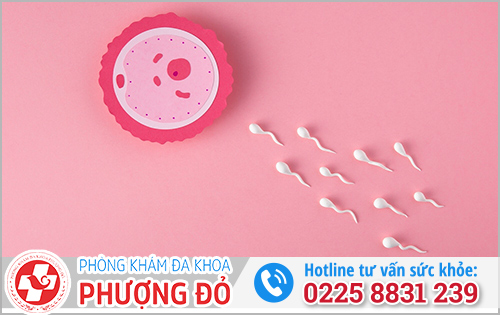 Vừa đút vào rút ra có thai không?
