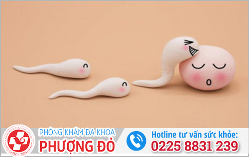 Tỉ lệ có thai khi xuất tinh ngoài là bao nhiêu phần trăm?